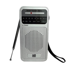 Portable Pointer AM/FM Full Channel Radio