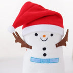 Snowman Hat