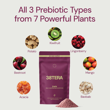 38TERA DMN Daily Microbiome Nutrition | Plant-Based Fiber Powder with 3 Prebiotics, Low FODMAP, Vegan, Wild Berry