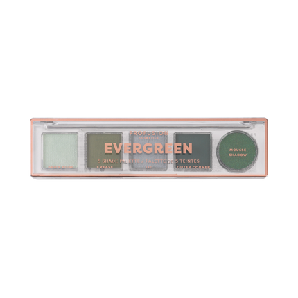 Mini Essentials - 5 Shade Eyeshadow Palettes