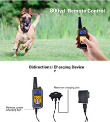 Electronic Remote Control Dog Barking Stop Charging Waterproof