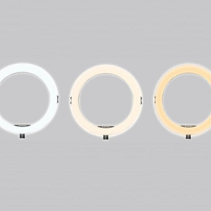 Agfaphoto 11" Bluetooth LED Desktop Ring Light for Smartphones