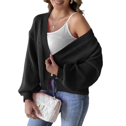 Women's Lantern Sleeve Simple Casual Short Sweater