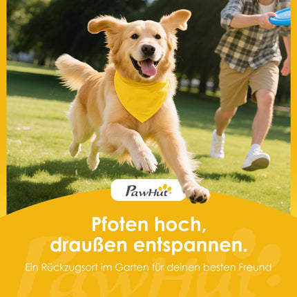 Hunde Agility Set 3-teiliges Set Agility-Ausrüstung mit Brücke, Treppe, Plattform, Tannenholz, 117 x 50 x 56 cm, Grau