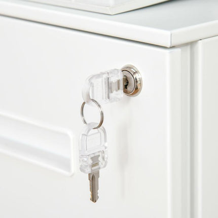 Office Drawer Unit on Wheels, 2-Drawer Steel Filing Cabinet with Lock and 2 Keys, 39x48x67cm, White