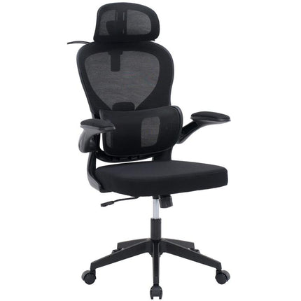 Ergonomic Mesh Office Chair with Adjustable Lumbar Support Adjustable Headrest, Double Lumbar Support, Flip?Up Armrests, Adjustable Height Rocking Desk Chair with Coat Hanger