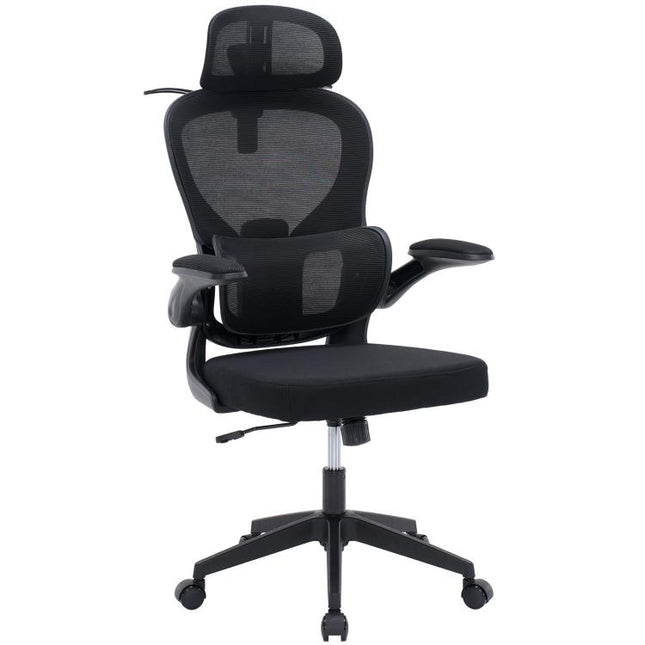 Ergonomic Mesh Office Chair with Adjustable Lumbar Support Adjustable Headrest, Double Lumbar Support, Flip?Up Armrests, Adjustable Height Rocking Desk Chair with Coat Hanger