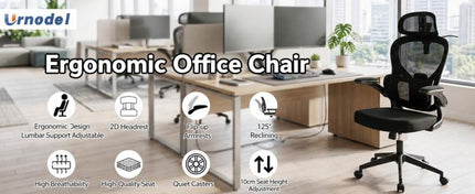 Ergonomic Mesh Office Chair with Adjustable Lumbar Support Adjustable Headrest, Double Lumbar Support, Flip?Up Armrests, Adjustable Height Rocking Desk Chair with Coat Hanger