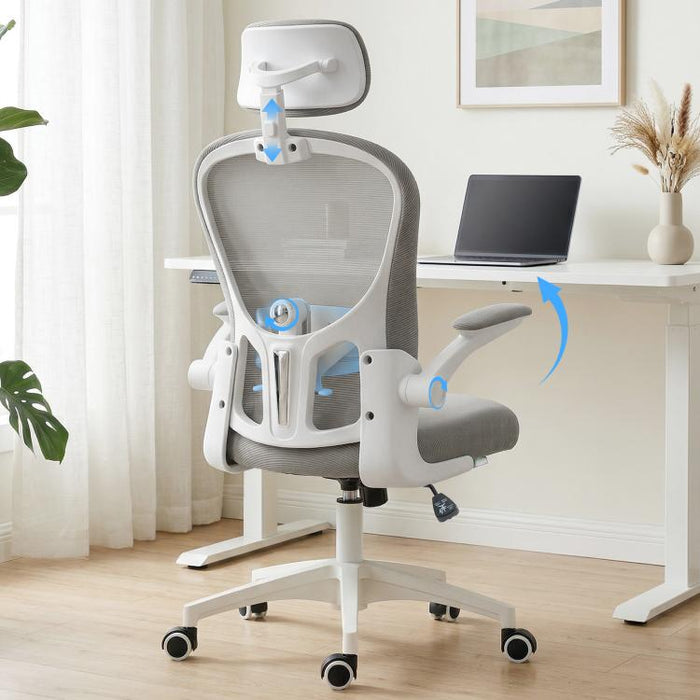 Multi-Adjustable Office Chair, with Lumbar Support, Headrest and Mesh Back - Grey