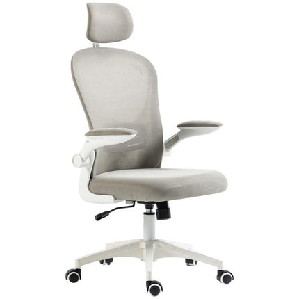 Multi-Adjustable Office Chair, with Lumbar Support, Headrest and Mesh Back - Grey