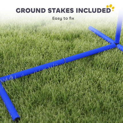 Four-Piece Portable Dog Agility Equipment - Blue