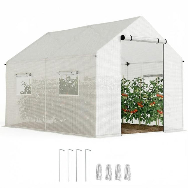 Polyethylene Walk-in Polytunnel Greenhouse, 2 x 3(m), White