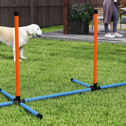 6-Piece Dog Agility Equipment Set with Weave Poles, Jump Ring, Hurdle, Pause Box, Bag, Orange