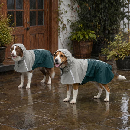 Dog Raincoat with Hood for Medium Dogs 15-20 KG, Green, M