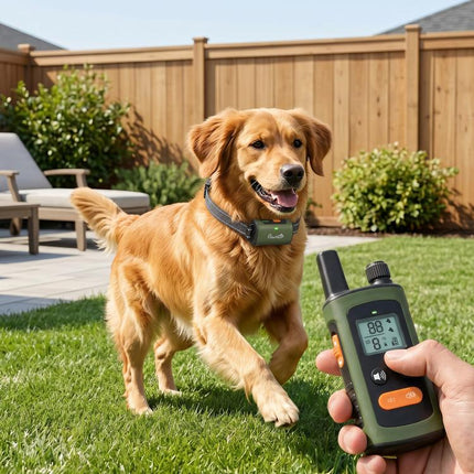 Anti Bark Collars for Dogs 3 Modes Dog Training Collar 3200FT Remote
