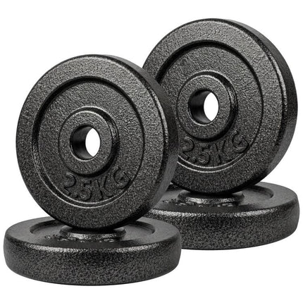 Weight Plates Set, 1 inch/2.5cm Weight Disc Pair, 4 x 2.5kg Metal Dumbbell/Barbell Plates for Home Gym