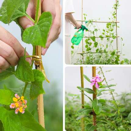 2FT,Diameter 8mm - 10mm Natural Bamboo Plant Stake, Sturdy Bamboo Poles, Durable Plant Bamboo Stake, Garden Climbing Plant Bracket 25pcs.