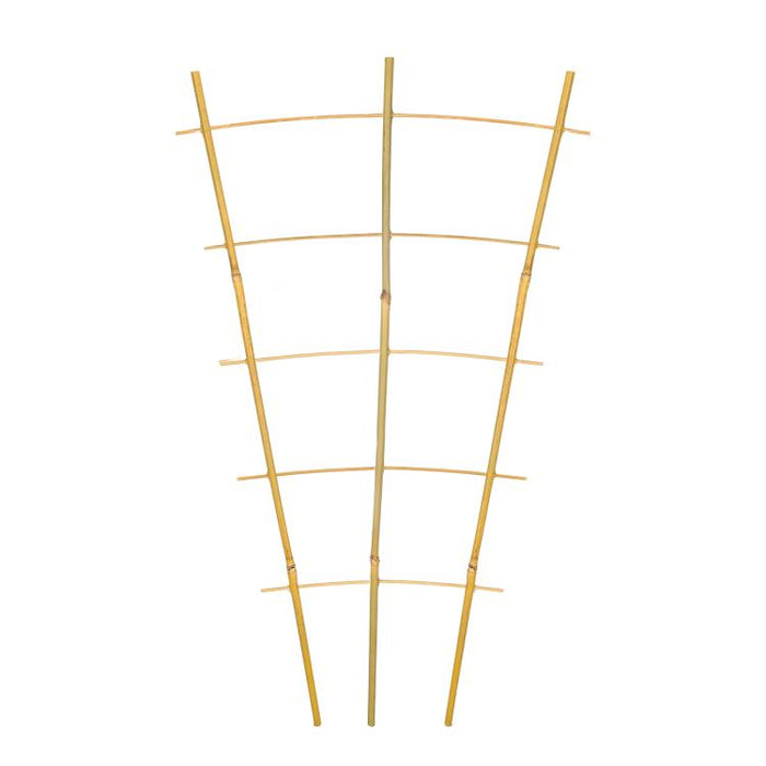 2 FT bamboo garden trellis, climbing plant trellis, Vines, Vegetables, Flowers, Potted Plants, Natural Bamboo Indoor Outdoor Support 3pcs.