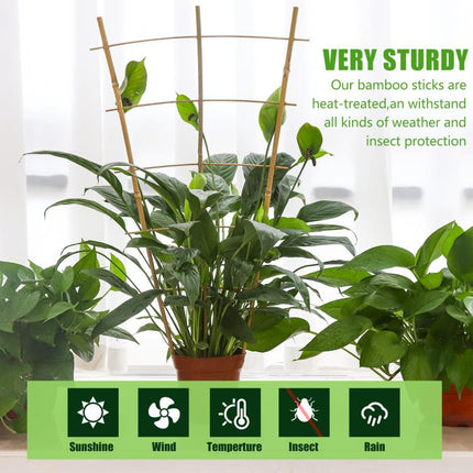 2 FT bamboo garden trellis, climbing plant trellis, Vines, Vegetables, Flowers, Potted Plants, Natural Bamboo Indoor Outdoor Support 3pcs.
