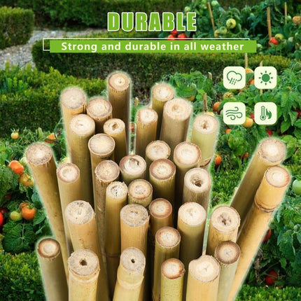3FT,Diameter 8mm - 10mm Natural Bamboo Plant Stake, Sturdy Bamboo Poles, Durable Plant Bamboo Stake, Garden Climbing Plant Bracket 25pcs.