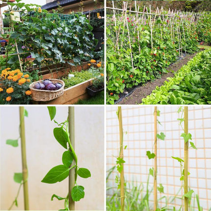 3FT,Diameter 8mm - 10mm Natural Bamboo Plant Stake, Sturdy Bamboo Poles, Durable Plant Bamboo Stake, Garden Climbing Plant Bracket 25pcs.