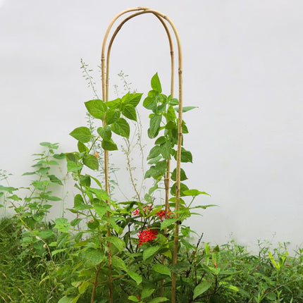 3FT 3pcs Natural U-Hoops Bamboo Trellis U-Shaped Garden Trellis for Climbing Plants, Vines, Ivy, Flowers, and Potted Plants