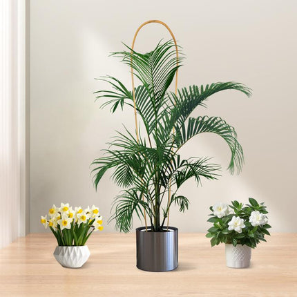 3FT 3pcs Natural U-Hoops Bamboo Trellis U-Shaped Garden Trellis for Climbing Plants, Vines, Ivy, Flowers, and Potted Plants