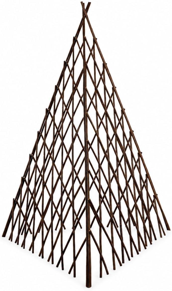 4FT Teepee Trellis for Climbing Plants, Natural Willow Plant Support, Expandable Wood Plant Cage for Beans, Peas, Cucumbers, Flowers, Vines and Garden Decor