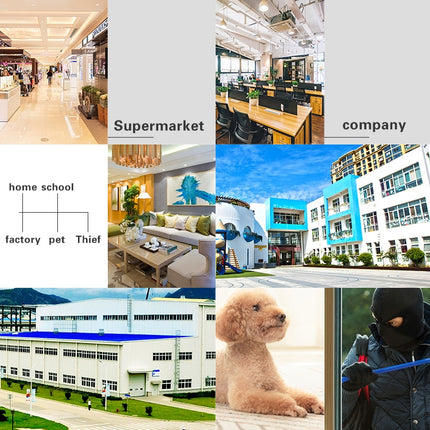 DP16 2.0 Megapixel 42 LEDs Garden Light Smart Camera, Support Motion Detection / Night Vision / Voice Intercom / TF Card, AU Plug