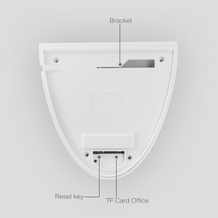 DP16 2.0 Megapixel 42 LEDs Garden Light Smart Camera, Support Motion Detection / Night Vision / Voice Intercom / TF Card, AU Plug