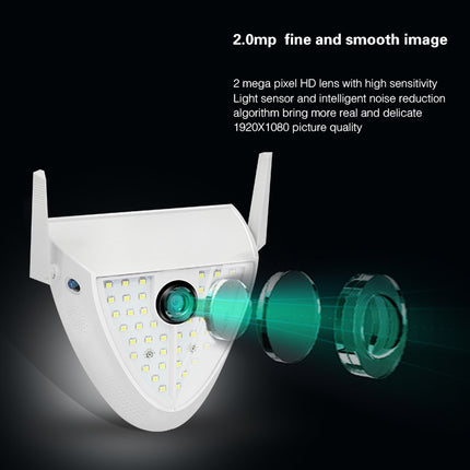 DP16 2.0 Megapixel 42 LEDs Garden Light Smart Camera, Support Motion Detection / Night Vision / Voice Intercom / TF Card, AU Plug