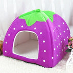 Purple, Size L / Purple