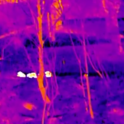 Thermal Master DV2 Thermal Camera Touchscreen