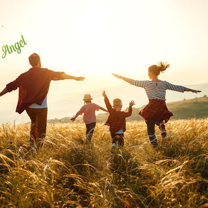 Bug Off! - All Natural Insect Repellent