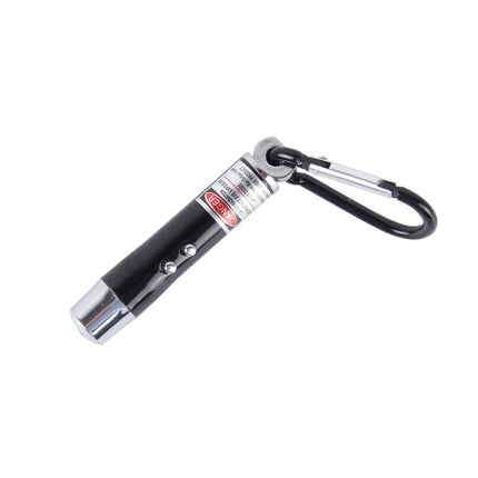 2pcs Outdoor Keychain Metal Shell Mini LED Flashlight Laser Light with Money Detecting