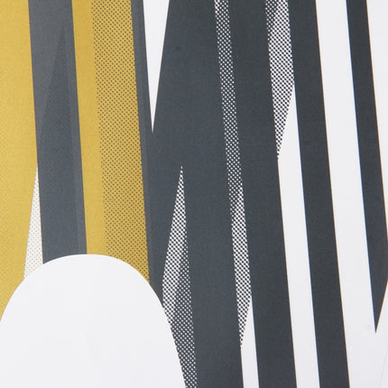 5 PCS SUV Body Decorative Strip Brand Car Streamline Shining Sticker for Toyota Prado 2010 Version