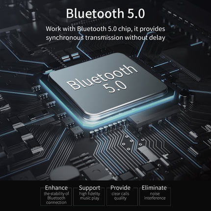 ROCK B301 Dual USB + PD Bluetooth 5.0 FM Transmitter & Car Charger, Support TF Card / U-disk