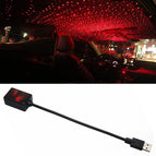 C-206 (Red Light) / Red Light