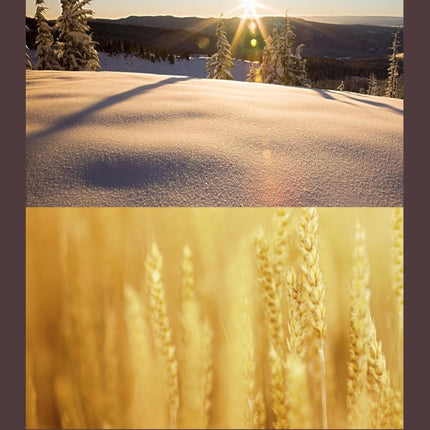 Filtro de lente profesional JUNESTAR 4 en 1 de 40,5 mm (CPL + UV) y carcasa impermeable, anillo adaptador y tapa protectora de lente para cámara de acción deportiva GoPro HERO4 / 3+ / 3, lente 4 en 1 de 40,5 mm