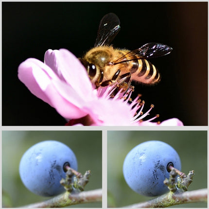 RUIGPRO for GoPro HERO10 Black / HERO9 Black Professional 52mm 52mm 10 in 1 UV+ND2+ND4+ND8+Star 8+ +CPL+Yellow/Red/Purple+10X Close-up Lens Filter with Filter Adapter Ring & Lens Cap