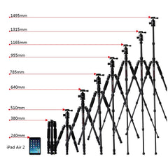 TRIOPO T259G+Q2 Adjustable Portable Carbon Fiber Tripod with Q-2 Ball Head for SLR Camera