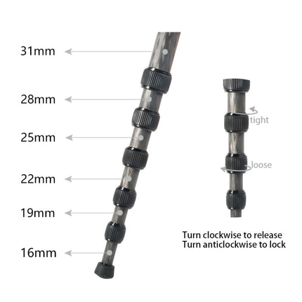 BEXIN P306C Portable Travel Outdoor DSLR Camera Carbon Fiber Monopod Holder, P306C