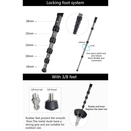 BEXIN MCS285 Portable Travel Outdoor DSLR Camera Carbon Fiber Monopod Holder, MCS285