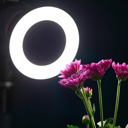 Godox Ring72 Macro Ring 48 LED Flash Light with 8 Different Size Adapter Rings, Ring72