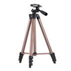 L-3130 Champagne Gold / Champagne Gold