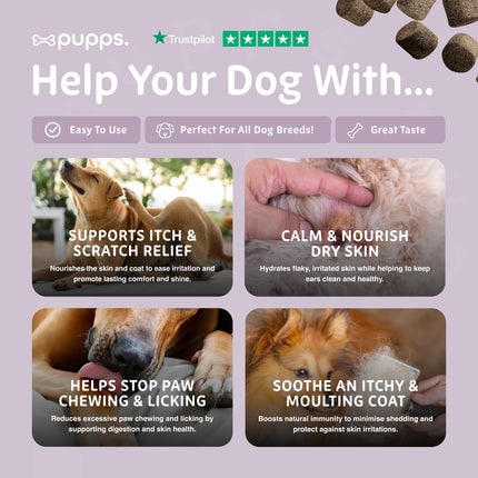 Itch Relief Treats