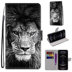 Coloured Drawing Cross Texture Horizontal Flip PU Leather Case with Holder & Card Slots & Wallet & Lanyard, For iPhone 12 / 12 Pro