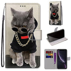 For iPhone XR / B09 Golden Chain Grey Cat