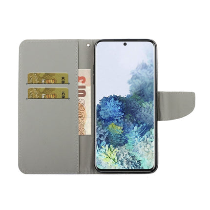 Coloured Drawing Pattern Horizontal Flip PU Leather Case with Holder & Card Slots & Wallet & Lanyard, For Samsung Galaxy S21+ 5G