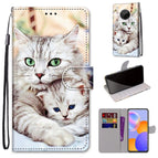 For Huawei Y9a / Big Cat Holding Kitten